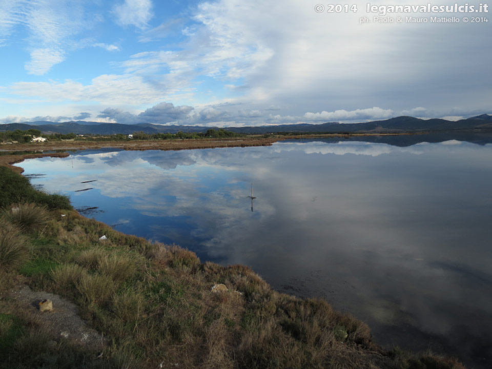 LNI Sulcis - Novembre 2013,stagno di Porto Pino
