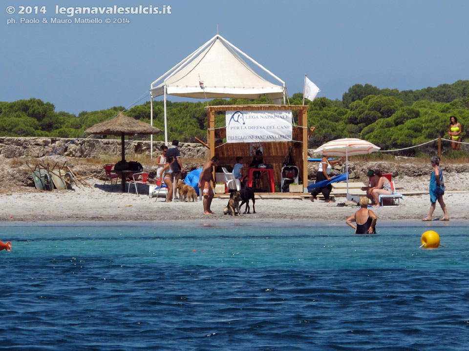 LNI Sulcis - Luglio 2014,spiaggia cani Area Animal Friendly Porto Pino
