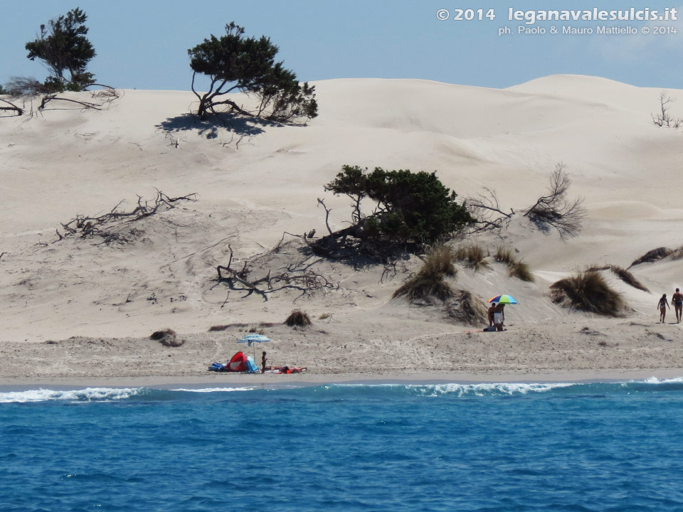 LNI Sulcis - Agosto 2014,dune di Porto Pino (Teulada)
