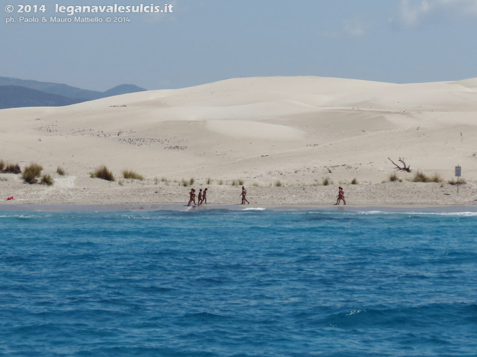 LNI Sulcis - Agosto 2014,dune di Porto Pino (Teulada)
