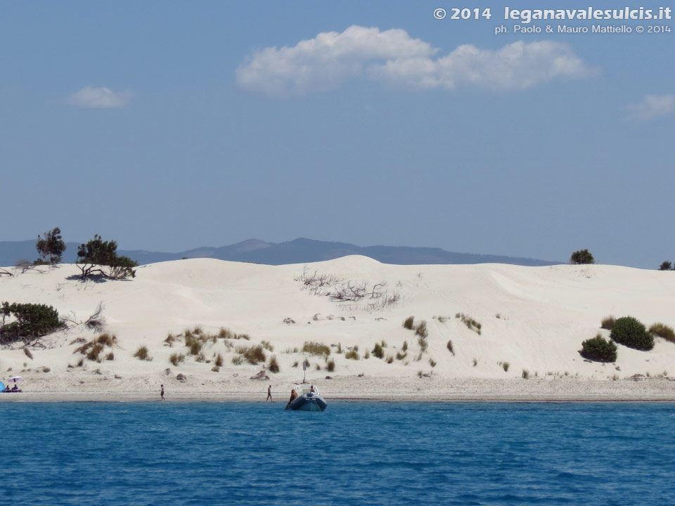 LNI Sulcis - Agosto 2014,dune di Porto Pino (Teulada)
