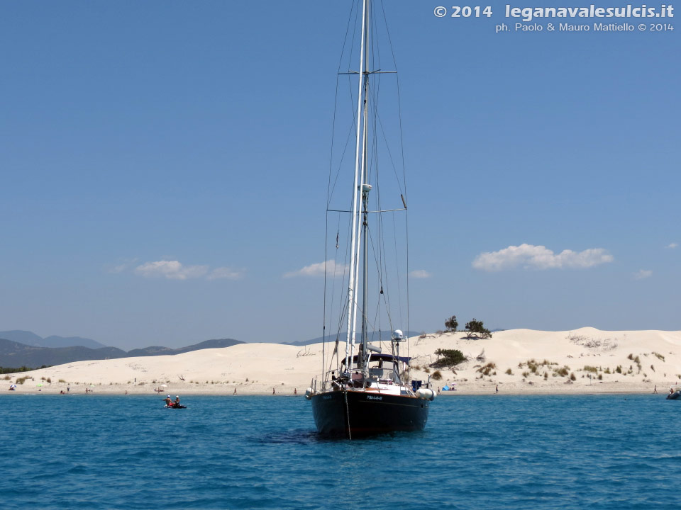 LNI Sulcis - Agosto 2014,dune di Porto Pino (Teulada)
