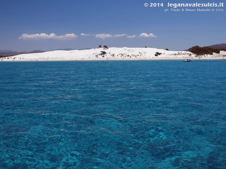 LNI Sulcis - Agosto 2014,dune di Porto Pino (Teulada)
