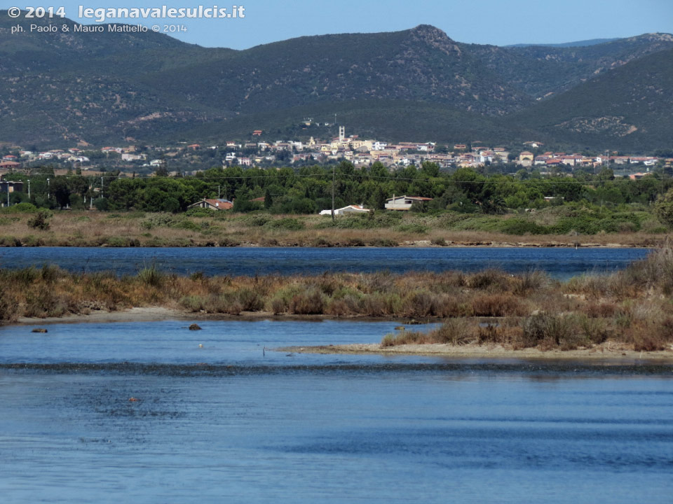 LNI Sulcis - Agosto 2014,stagno di Porto Pino e Sant'Anna Arresi
