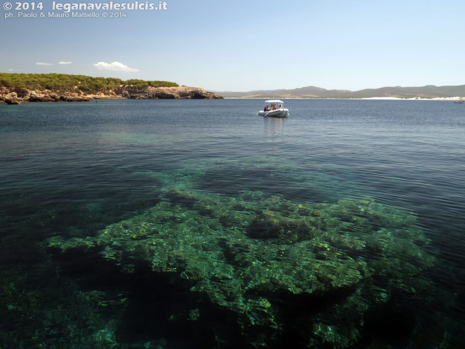 LNI Sulcis - Agosto 2014,Porto Pino, trasparenze di Punta Menga
