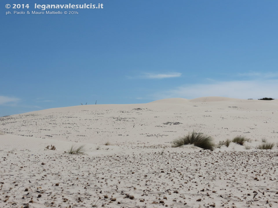 LNI Sulcis - Agosto 2014,Porto Pino, dune Is Arenas Biancas (Teulada)
