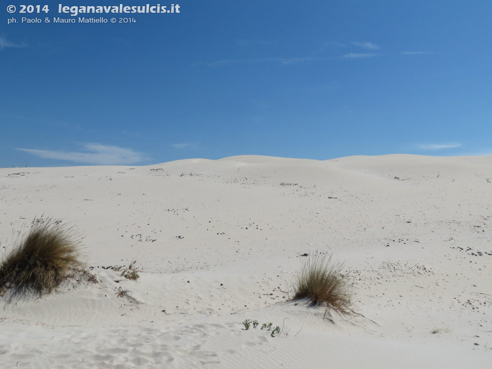 LNI Sulcis - Agosto 2014,Porto Pino, dune Is Arenas Biancas (Teulada)
