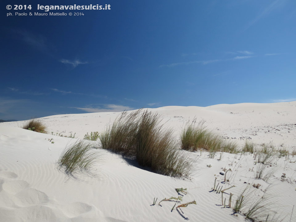 LNI Sulcis - Agosto 2014,Porto Pino, dune Is Arenas Biancas (Teulada)
