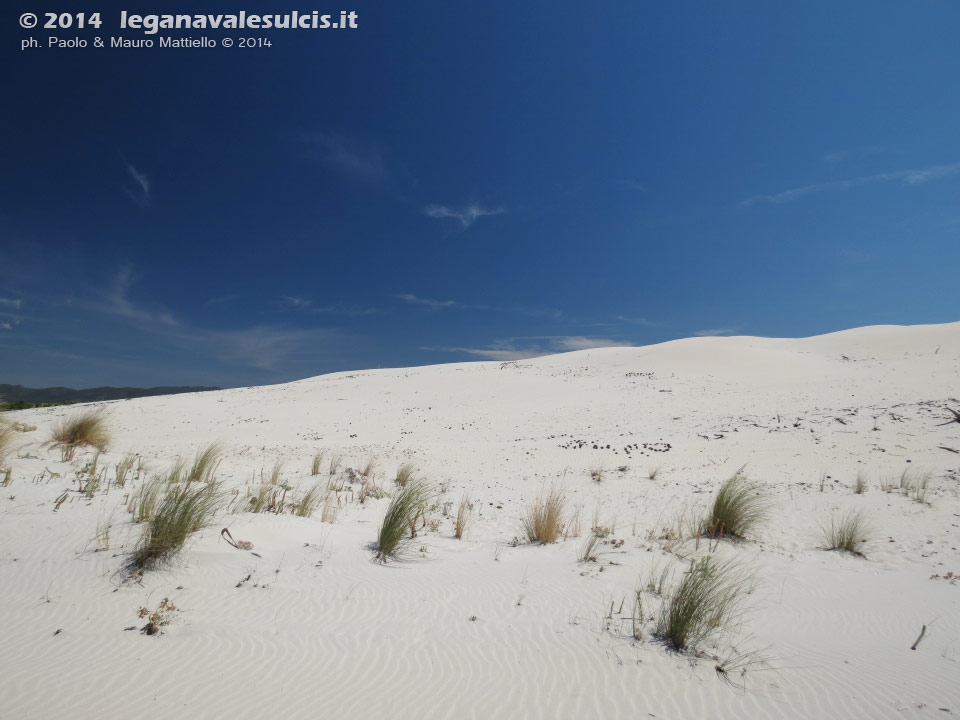 LNI Sulcis - Agosto 2014,Porto Pino, dune Is Arenas Biancas (Teulada)
