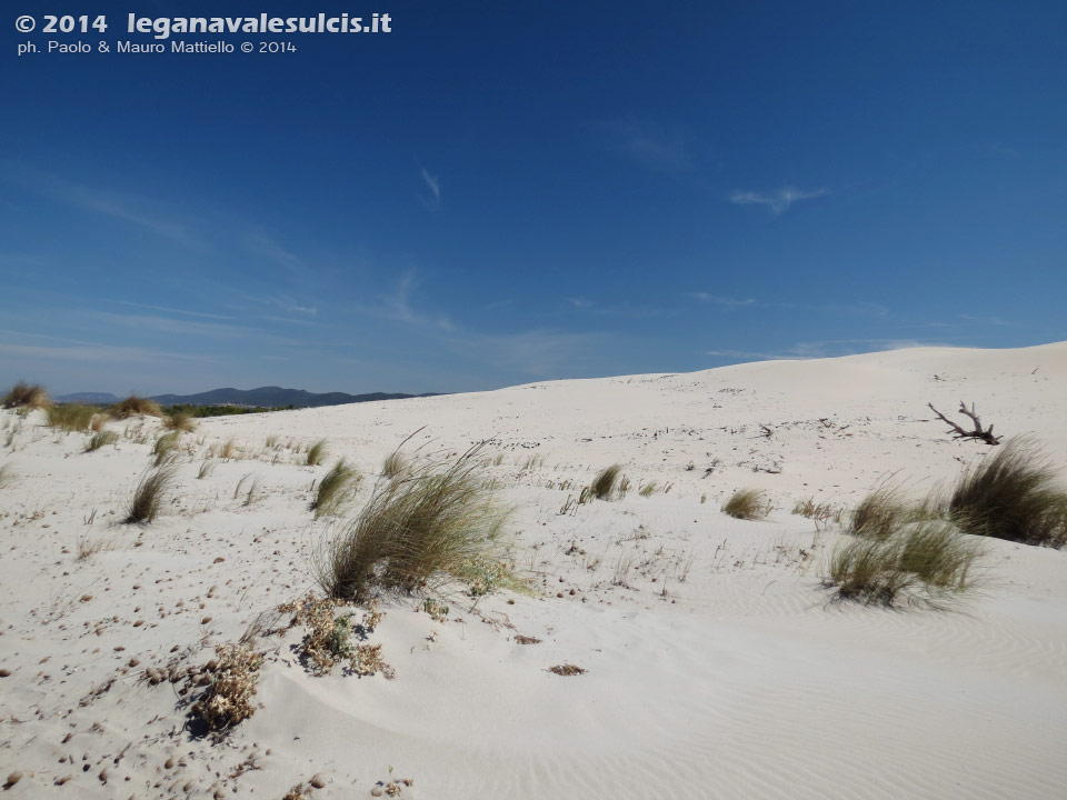 LNI Sulcis - Agosto 2014,Porto Pino, dune Is Arenas Biancas (Teulada)
