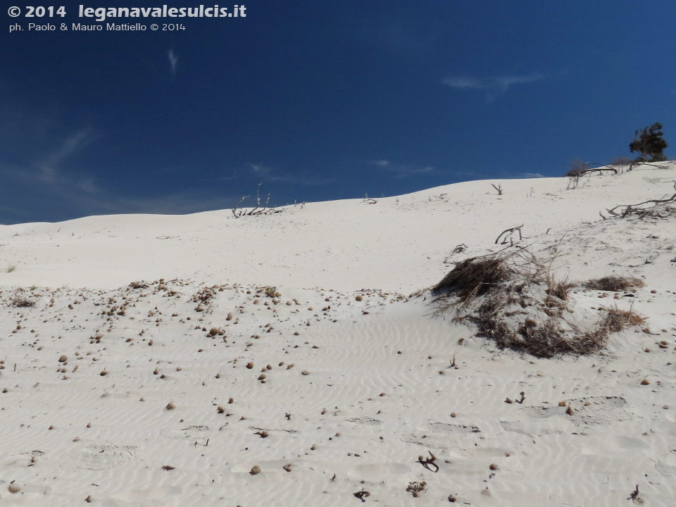 LNI Sulcis - Agosto 2014,Porto Pino, dune Is Arenas Biancas (Teulada)
