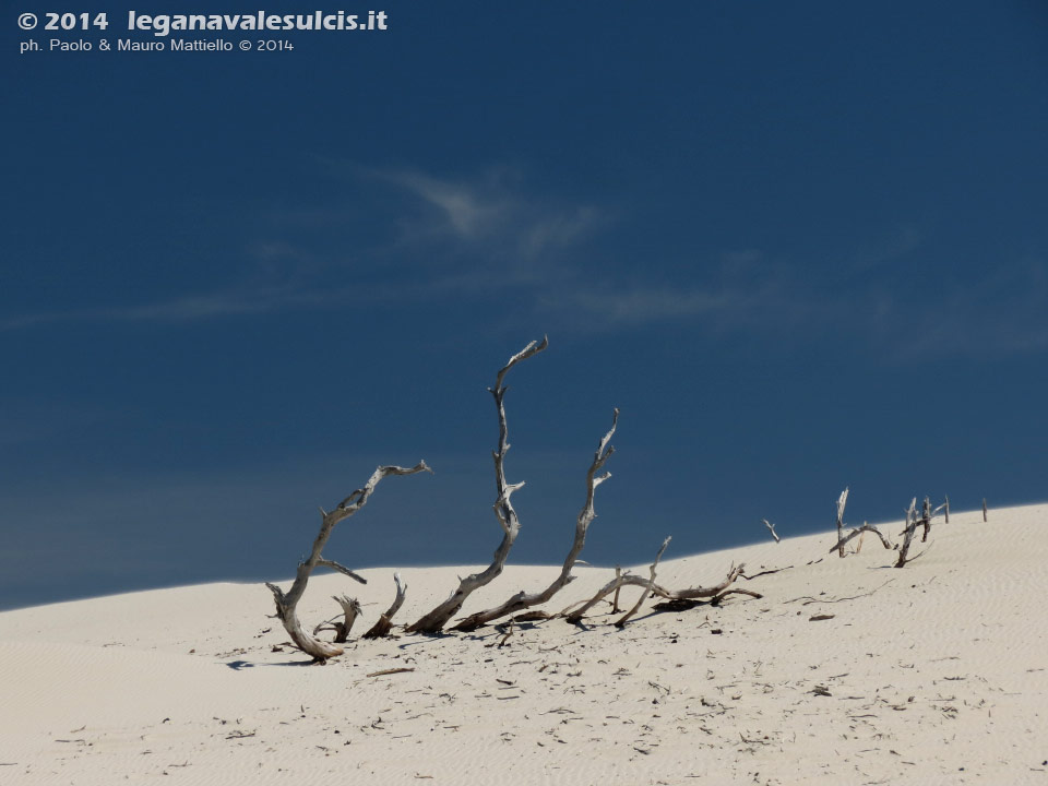 LNI Sulcis - Agosto 2014,Porto Pino, dune Is Arenas Biancas (Teulada)
