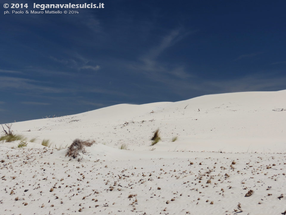 LNI Sulcis - Agosto 2014,Porto Pino, dune Is Arenas Biancas (Teulada)
