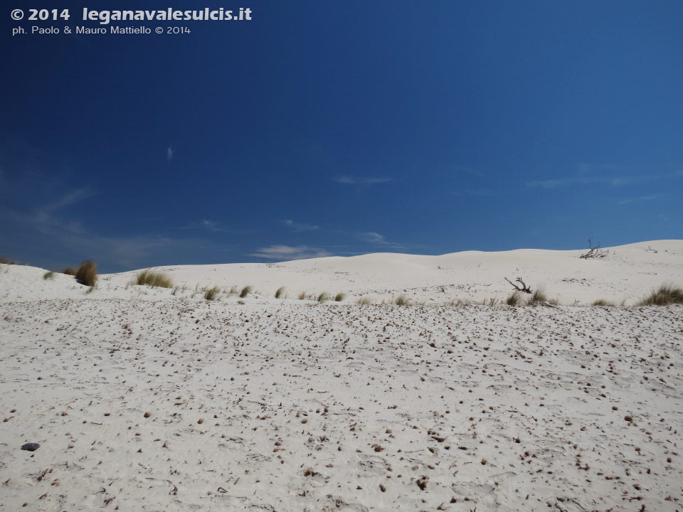 LNI Sulcis - Agosto 2014,Porto Pino, dune Is Arenas Biancas (Teulada)
