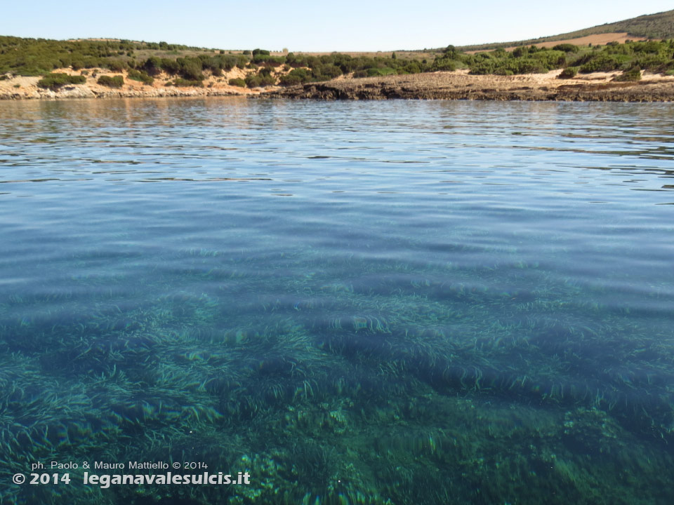 LNI Sulcis - Agosto 2014,Cala Su Turcu
