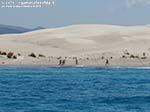 LNI Sulcis - Agosto 2014,dune di Porto Pino (Teulada)
