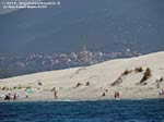 LNI Sulcis - Agosto 2014,dune di Porto Pino (Teulada)
