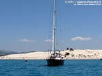 LNI Sulcis - Agosto 2014,dune di Porto Pino (Teulada)
