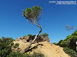 LNI Sulcis - Agosto 2014,batteria amm. Candiani di Punta Menga
