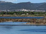 LNI Sulcis - Agosto 2014,stagno di Porto Pino e Sant'Anna Arresi
