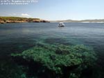 LNI Sulcis - Agosto 2014,Porto Pino, trasparenze di Punta Menga
