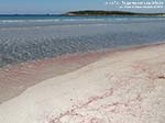 LNI Sulcis - Agosto 2014,Porto Pino, seconda spiaggia
