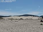 LNI Sulcis - Agosto 2014,Porto Pino, dune Is Arenas Biancas (Teulada)
