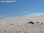 LNI Sulcis - Agosto 2014,Porto Pino, dune Is Arenas Biancas (Teulada)
