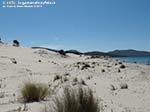 LNI Sulcis - Agosto 2014,Porto Pino, dune Is Arenas Biancas (Teulada)
