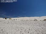 LNI Sulcis - Agosto 2014,Porto Pino, dune Is Arenas Biancas (Teulada)
