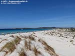 LNI Sulcis - Agosto 2014,Porto Pino, seconda spiaggia                
