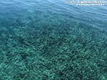 LNI Sulcis - Agosto 2014,Cala Su Turcu, posidonia
