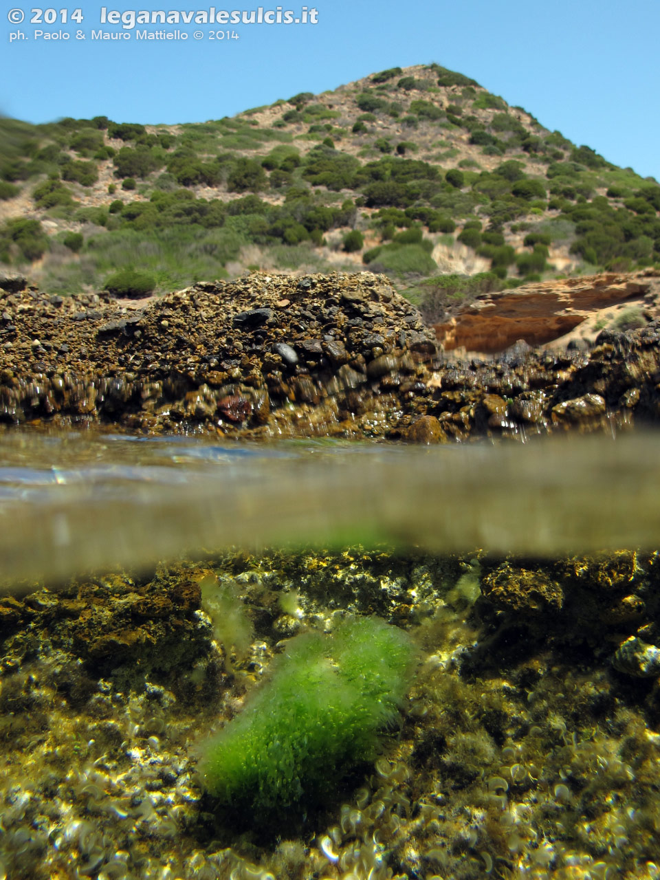 LNI Sulcis - 2014 - Cala Aligusta