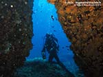 LNI Sulcis - 2014 - Subacqueo e tunnel di margherite di mare (Parazoanthus axienalle)