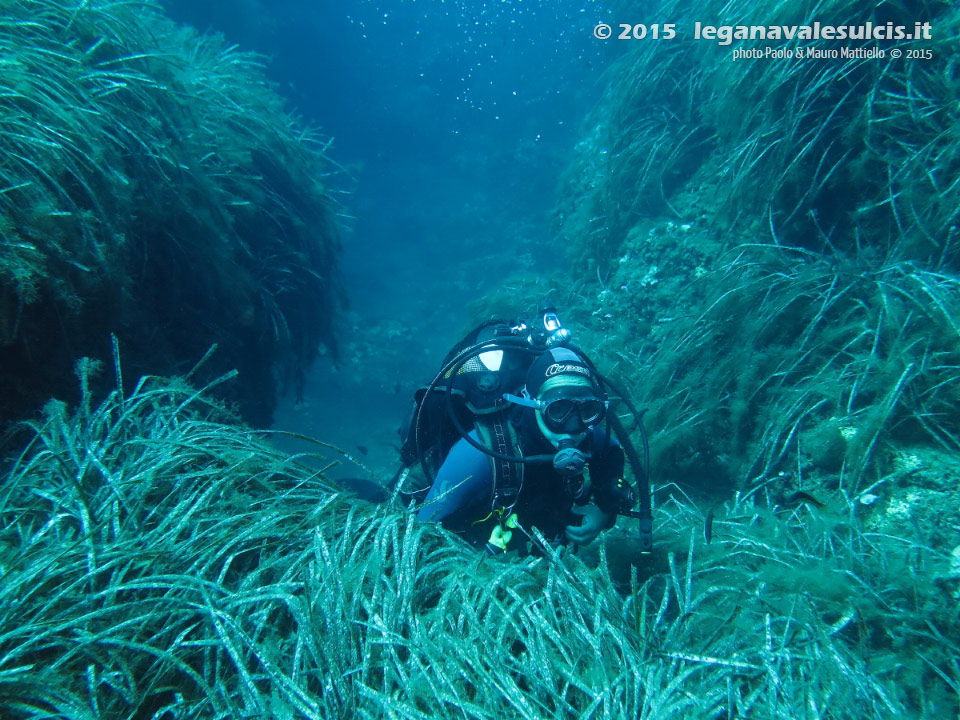 LNI Sulcis - 2015 - Sub in mezzo alla posidonia