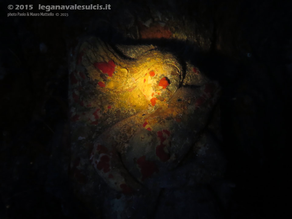 LNI Sulcis - 2015 - Grotta subacquea nell'isola La Vacca: statua dello scultore Gianni Salidu (2002), illuminata con torcia