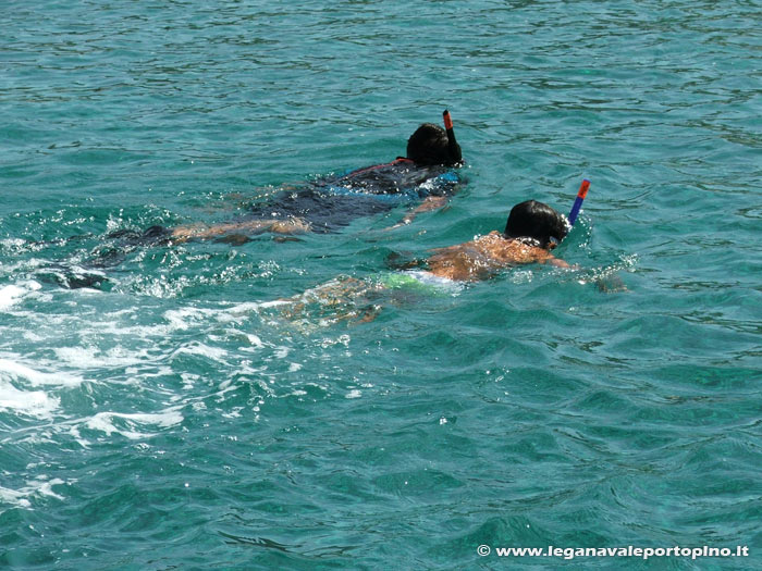 &Egrave; giunto il momento dello snorkeling!