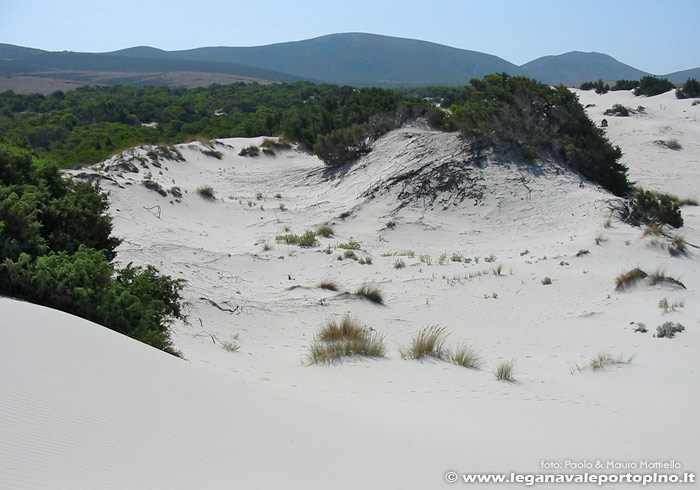 Porto Pino - Dune - La parte retrostante delle dune