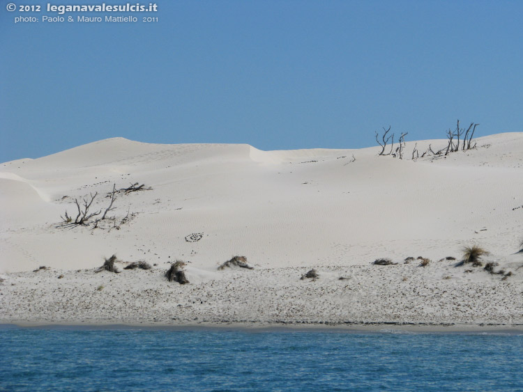 Porto Pino - Dune - 2011