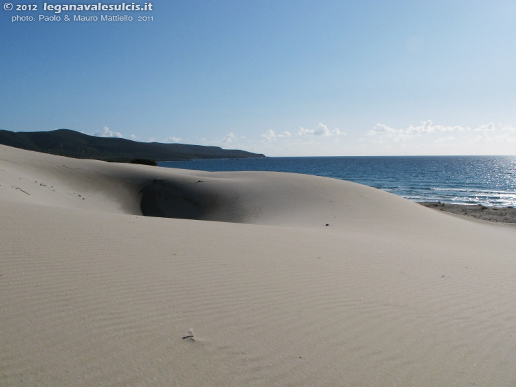 Porto Pino - Dune - 2011