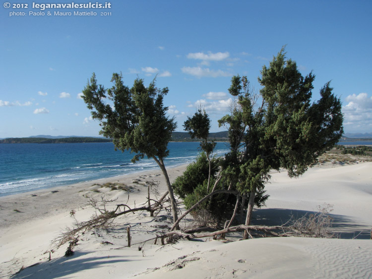 Porto Pino - Dune - 2011