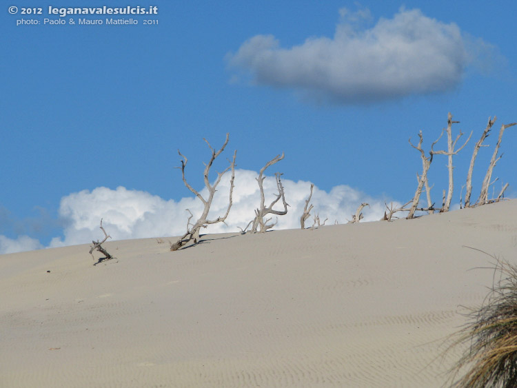 Porto Pino - Dune - 2011