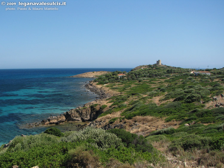 Coaquaddus - Torre Canai