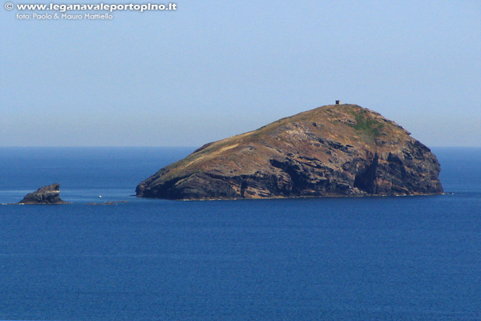 Vacca e Toro - La Vacca, vista dal Semaforo di Capo Sperone (S.Antioco)