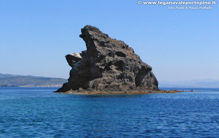 Vacca e Toro - Il Vitello, scoglio de La Vacca