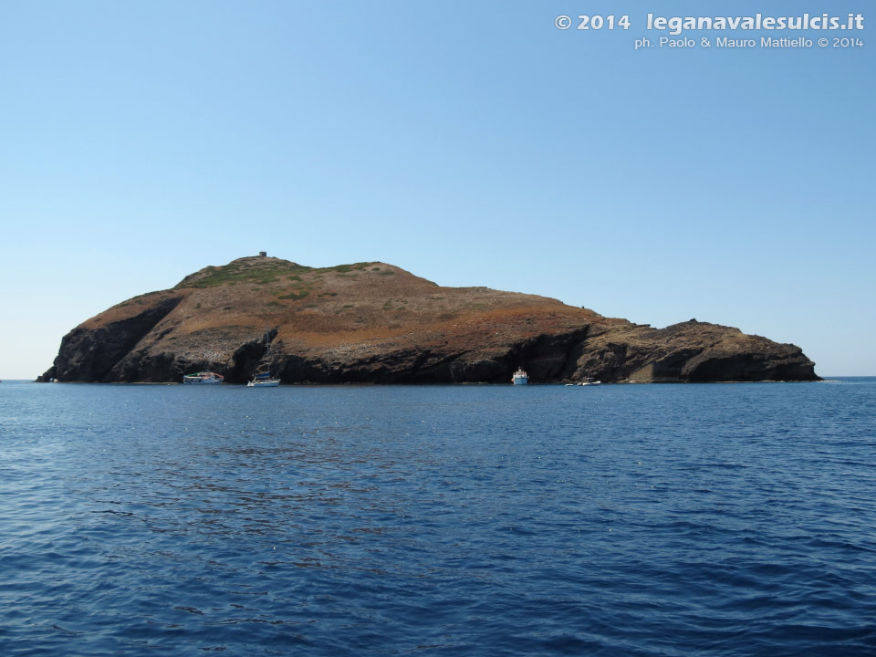 Vacca e Toro - Agosto 2014,Isola La Vacca (S.Antioco)