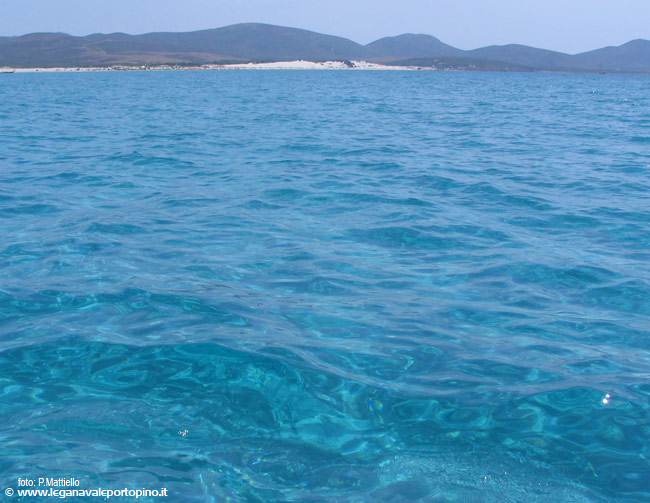 Un'acqua da piscina (si ringrazia il maestrale) ha accolto i regatanti in questo weekend.